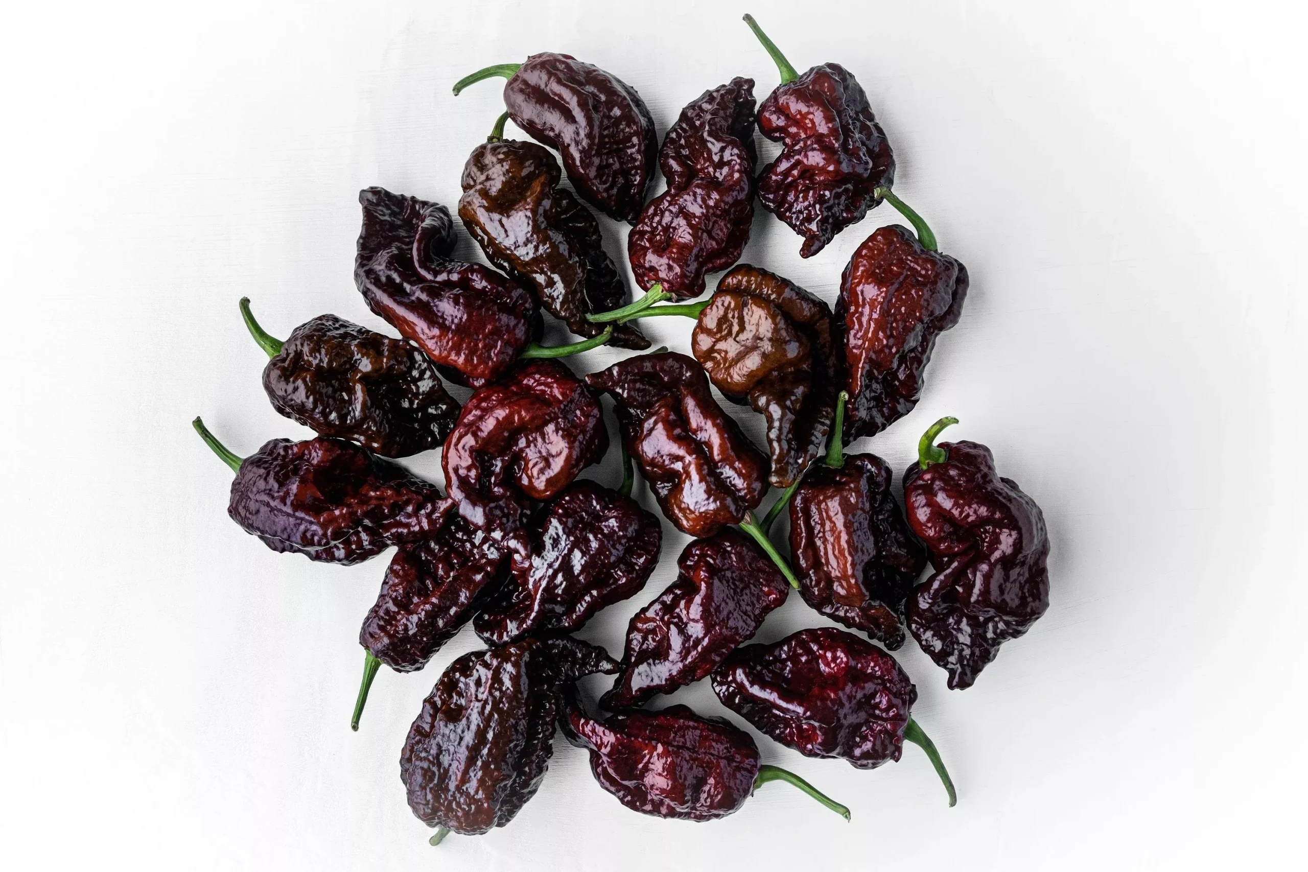 10 Chocolate CAROLINA REAPER PEPPER World’s Hottest Capsicum Chinense Hot Brown Chili Vegetable Seeds