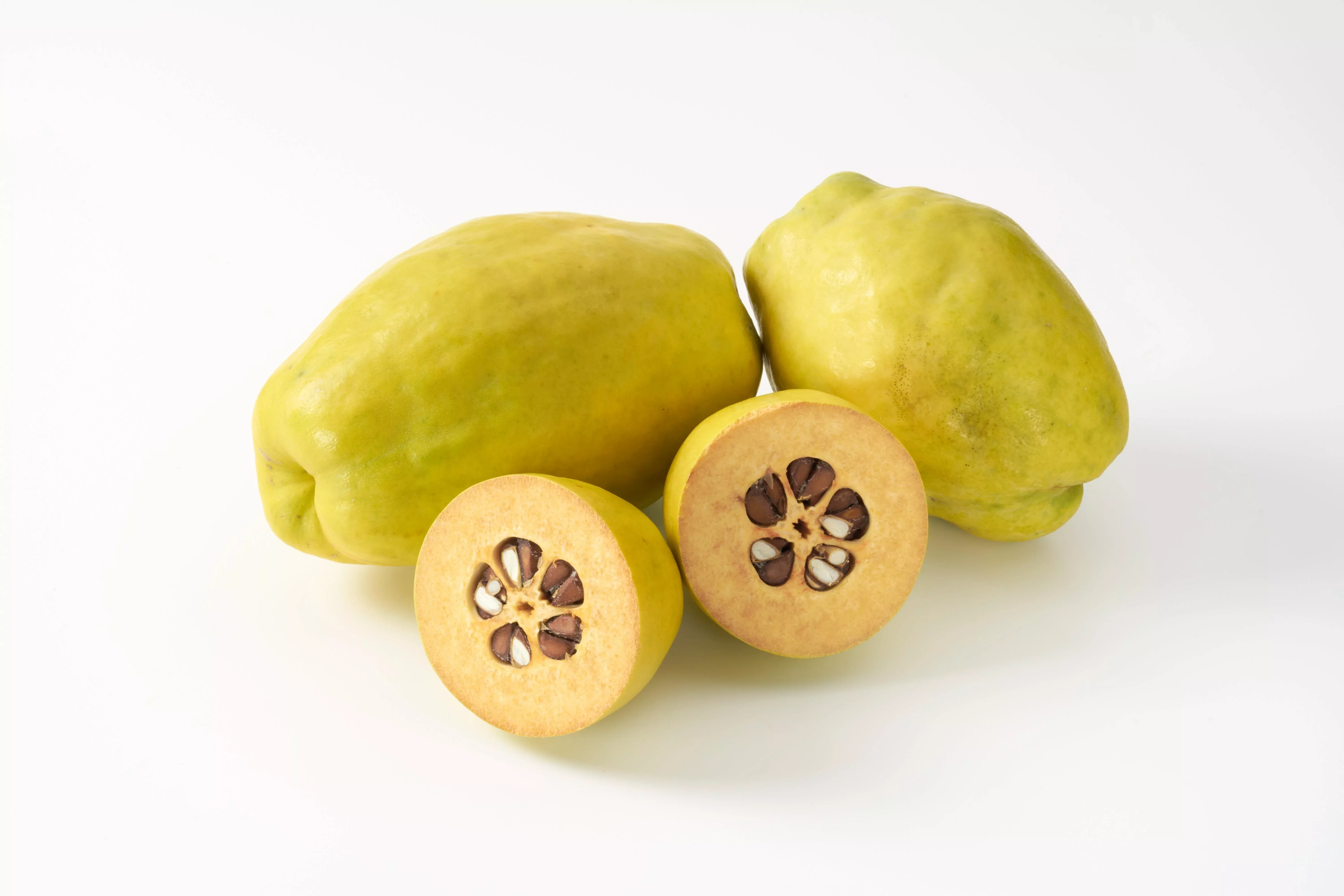 20 Chinese QUINCE FRUIT TREE Chaenomeles Sinensis Pseudocydonia Fruit Flower Seeds Thornless