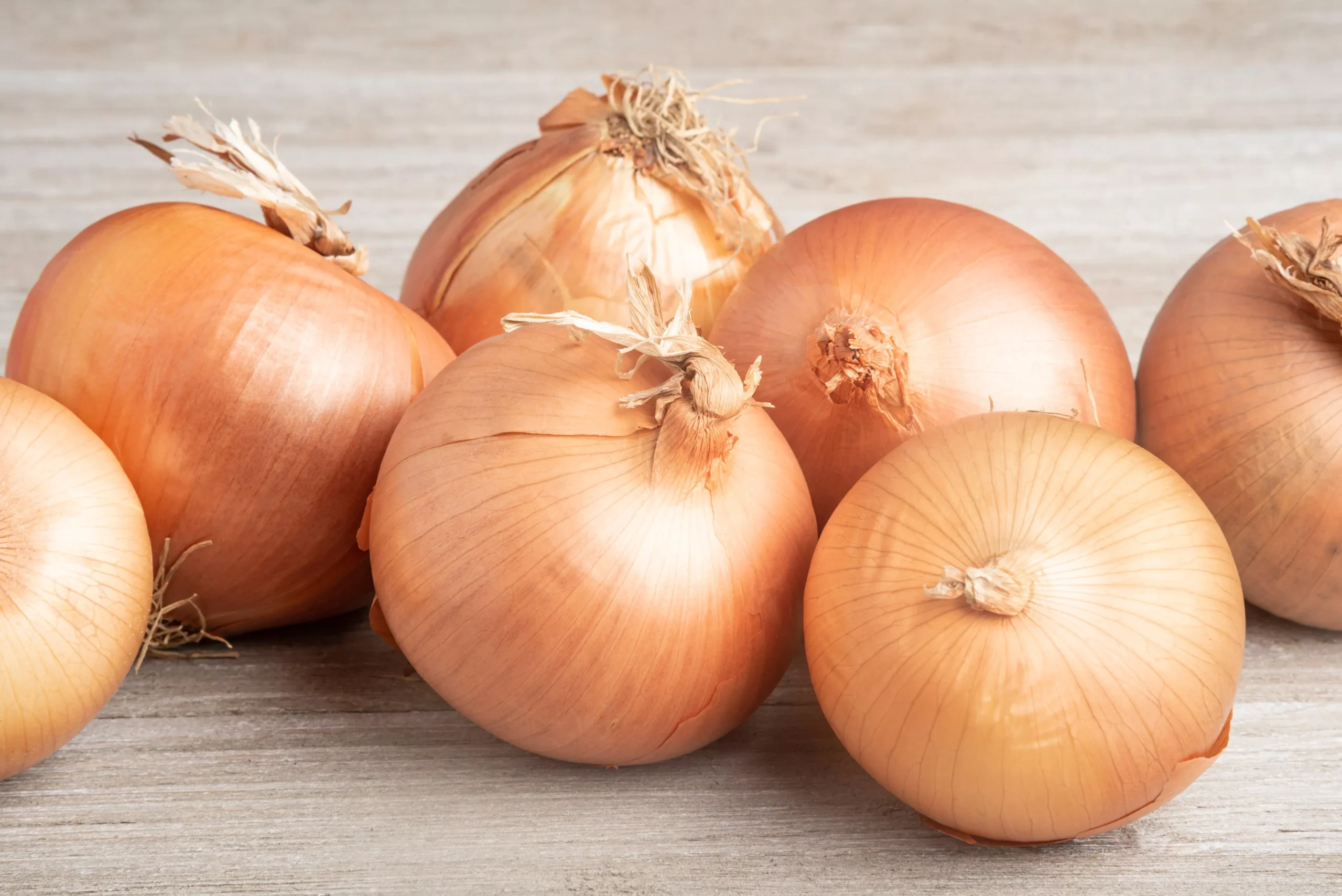 400 Texas EARLY GRANO ONION Large Sweet Yellow Allium Cepa Vegetable Seeds