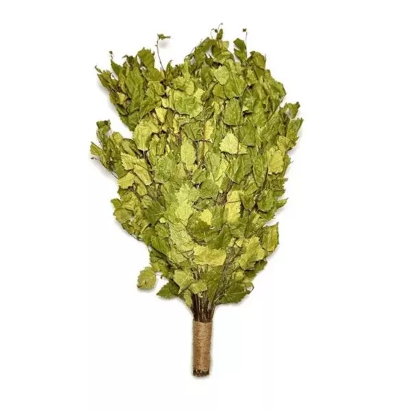 Birch Venik – Whisk