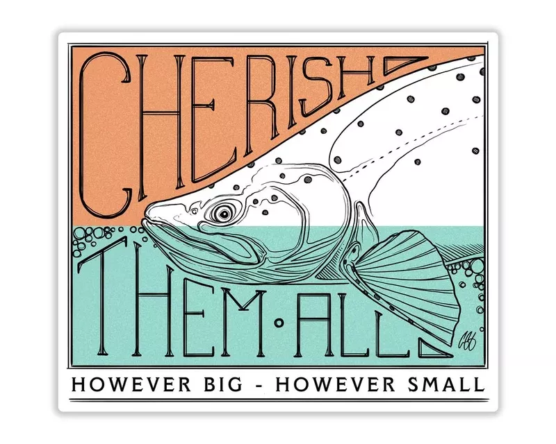 CASEY UNDERWOOD CHERISH THEM ALL STICKER