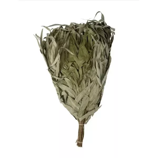 Eucalyptus Venik - Whisk