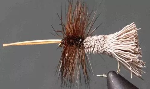 Goddard Caddis