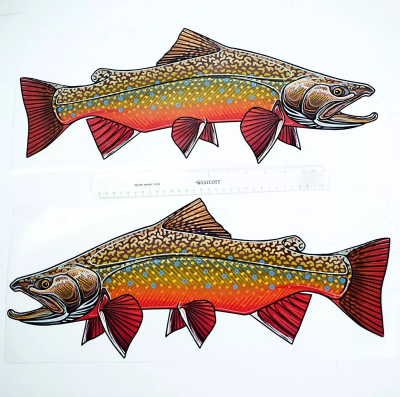 OVERSIZED BOAT DECAL