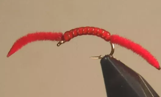 San Juan Worm - 4 Colors